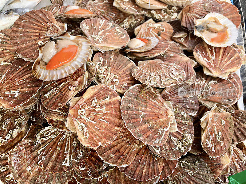 法国海鲜市场摊位上的贝壳扇贝