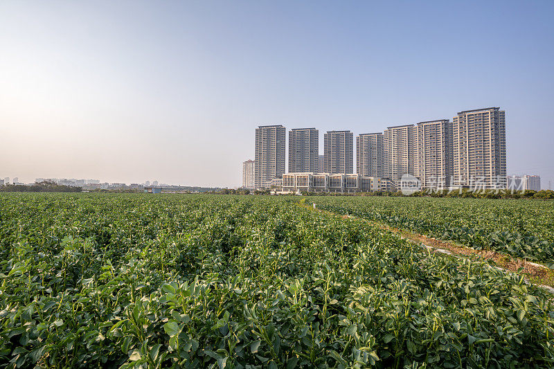 城郊的农业种植用地