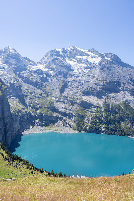 瑞士中部的一个壮观的高山湖泊，松树，冰川和蓝色的湖泊