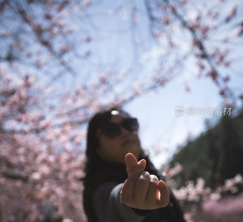 户外的快乐时光，台湾春天的樱花