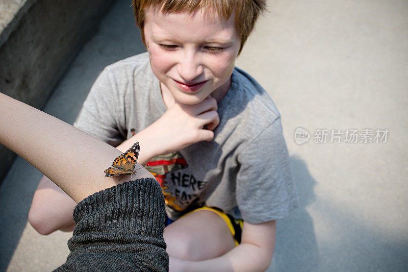 少年胳膊上的蝴蝶，孩子好奇的目光