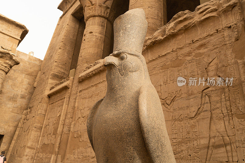 荷鲁斯雕像在埃德福神庙。阿斯旺,埃及