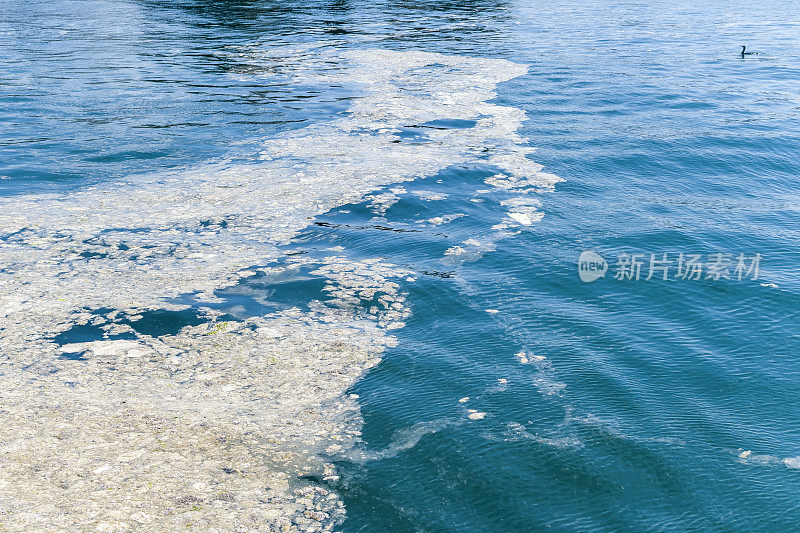 海面上的粘液，伊斯坦布尔，环境灾难