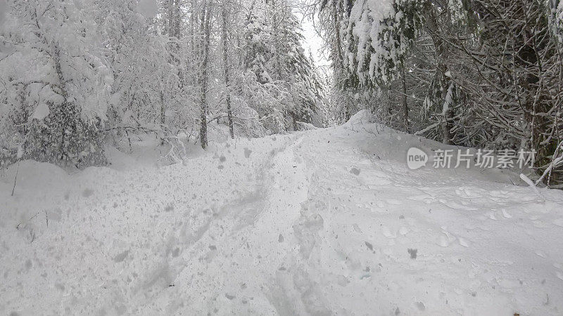 白雪皑皑的森林里的野外滑雪道的风景