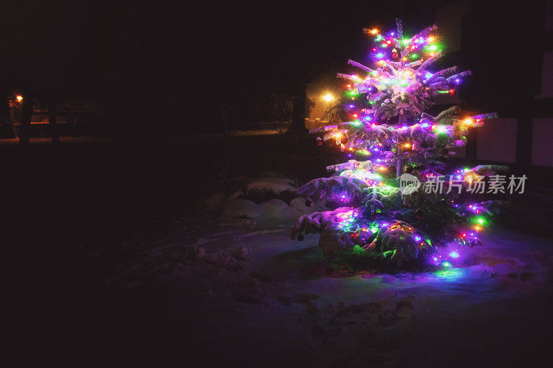 雪夜圣诞树上的彩灯