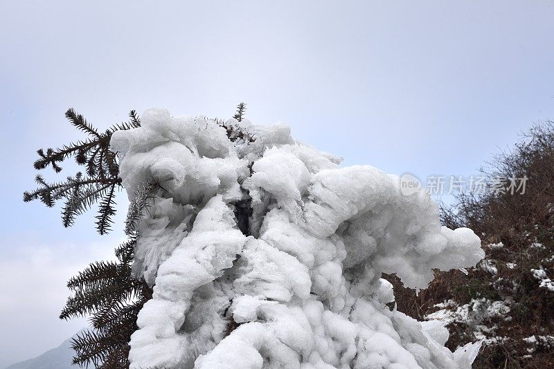 山上和森林里到处都是白霜