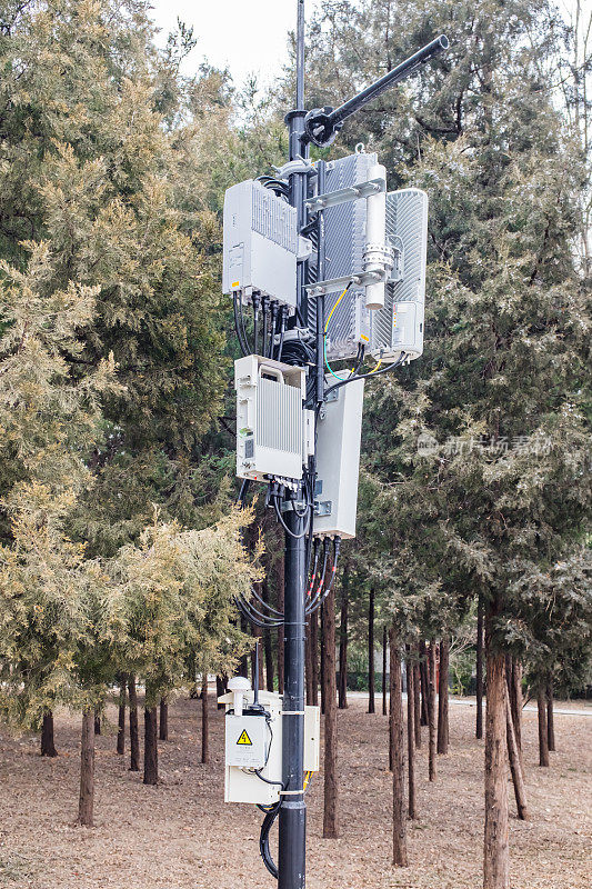 5G基站天线塔站在园区内