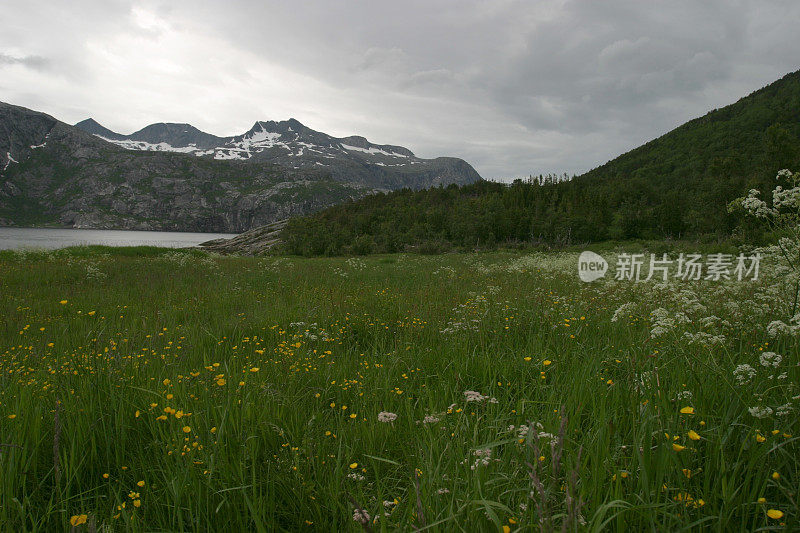 挪威峡湾北部自然荒野