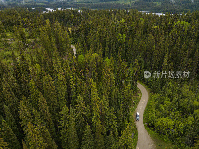 在林道上，汽车驶过茂密的森林