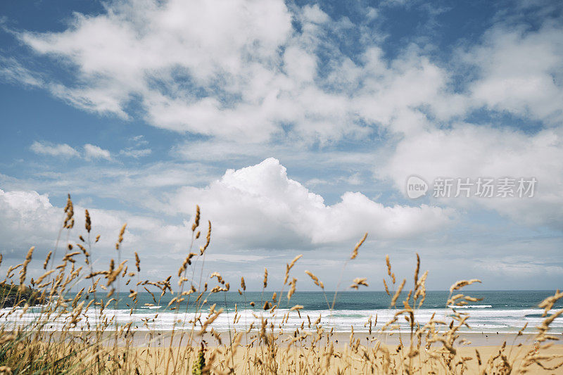 6月一个阳光明媚的日子，穿过野草看到康沃尔郡纽基菲斯特拉海滩的景色。