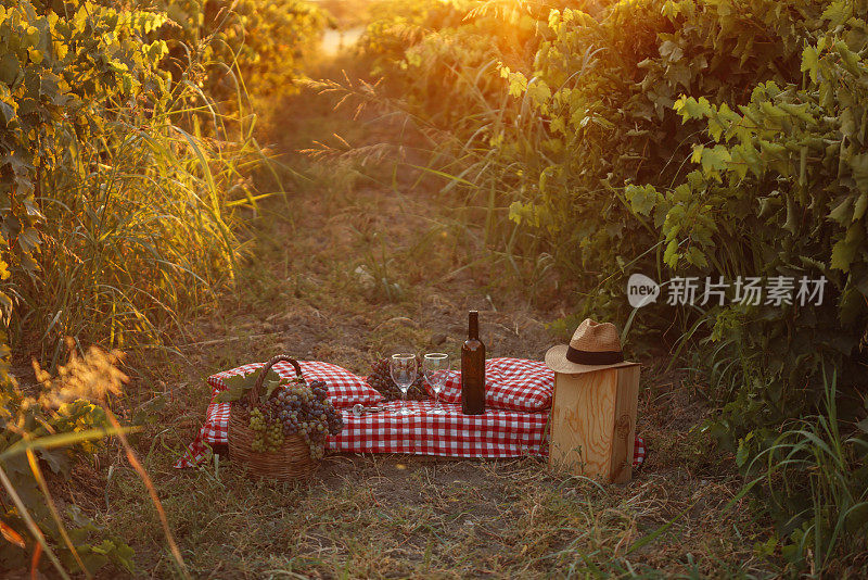 瓶和酒杯与葡萄在农村的场景