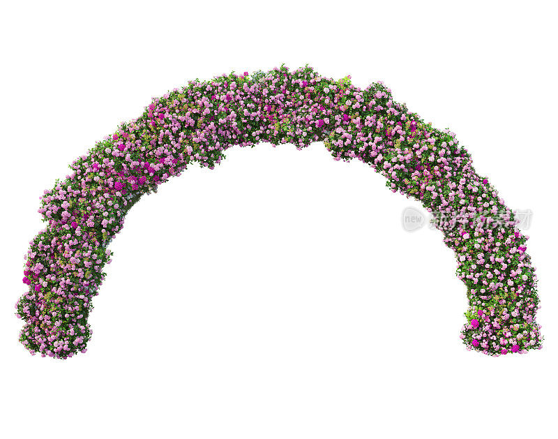 在白色背景上3D渲染花园拱门