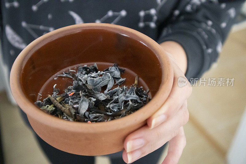 烧香鼠尾草泥特写