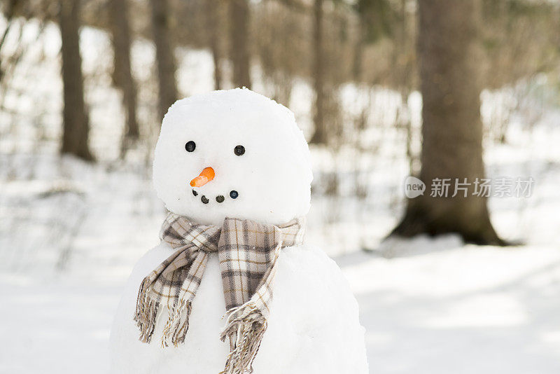 雪人