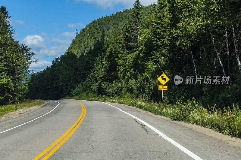 加拿大蜿蜒的道路