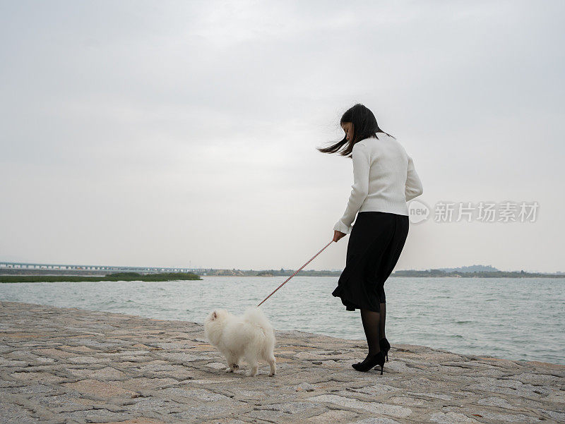 一名妇女在海边与宠物狗玩耍