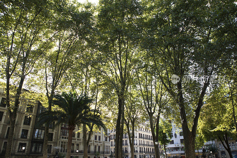 夏季西班牙某城市的公共广场公园