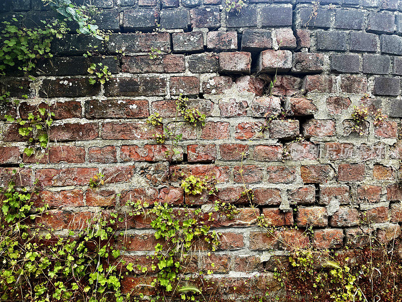 旧裂砖墙