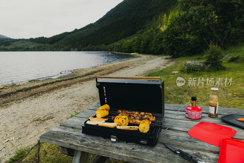 在夏季与风景秀丽的湖景户外烧烤