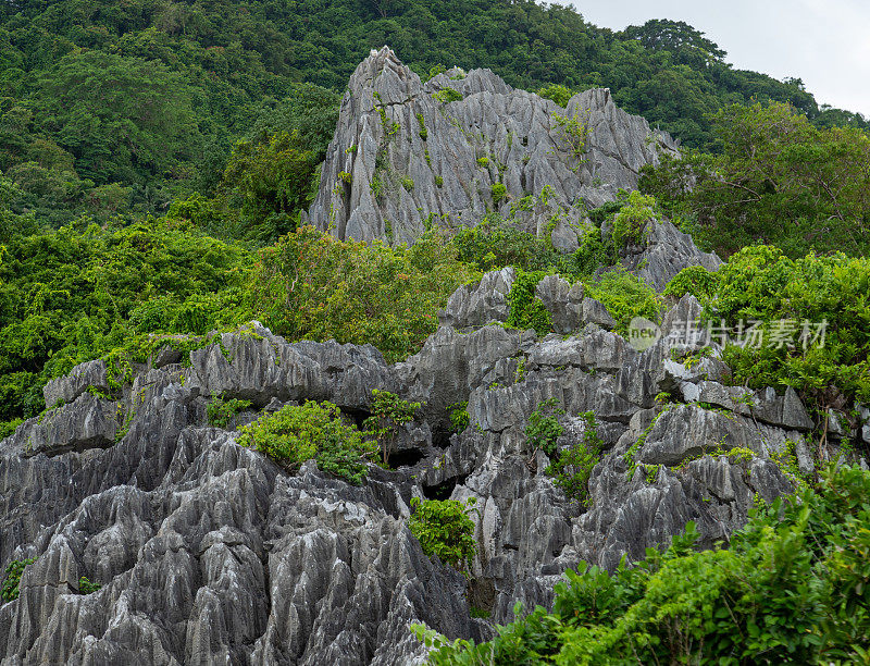 风景石灰岩山脉和杂草丛生的树木，恩赫岛，坚江省