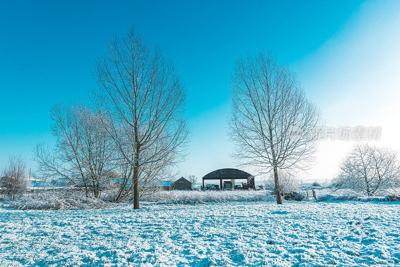 一个寒冷的早晨，本季的第一层雪