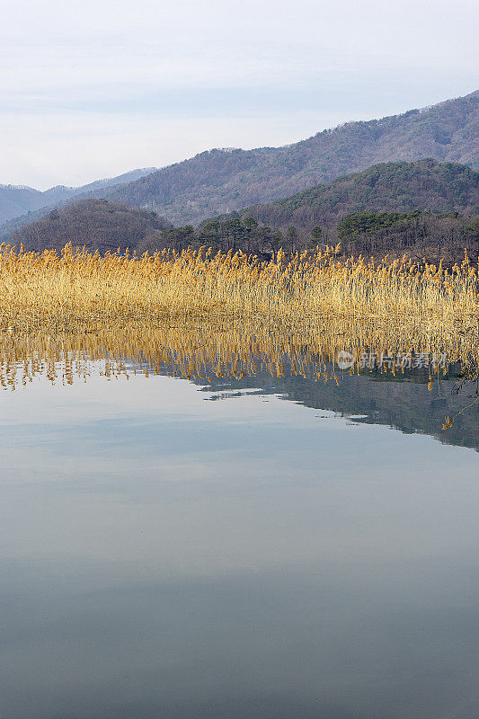 河边的风景