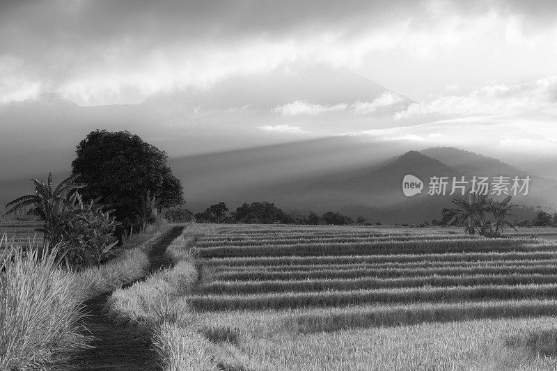 日落或日出的柔和光线突出了山峰，并产生了戏剧性的阴影