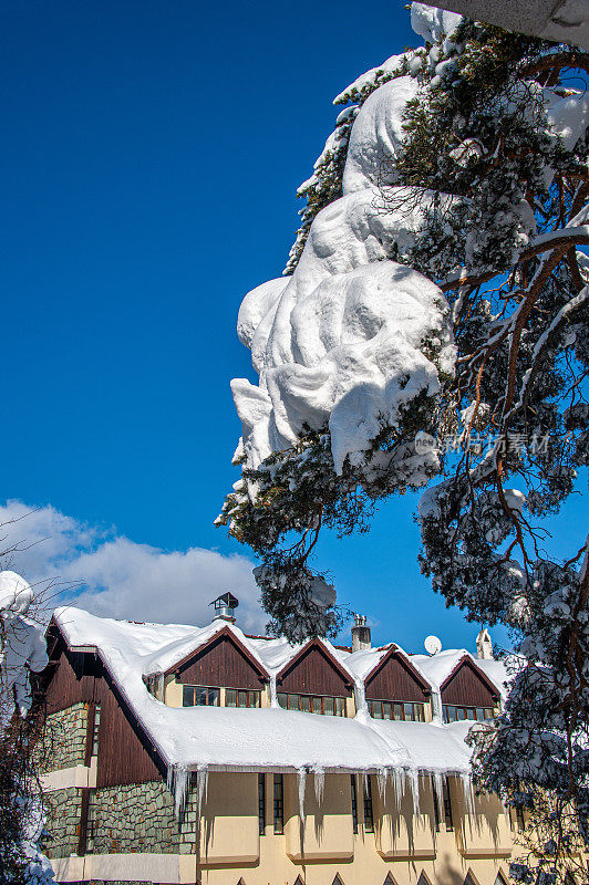 尖顶建筑上覆盖着雪，树上挂着一团雪