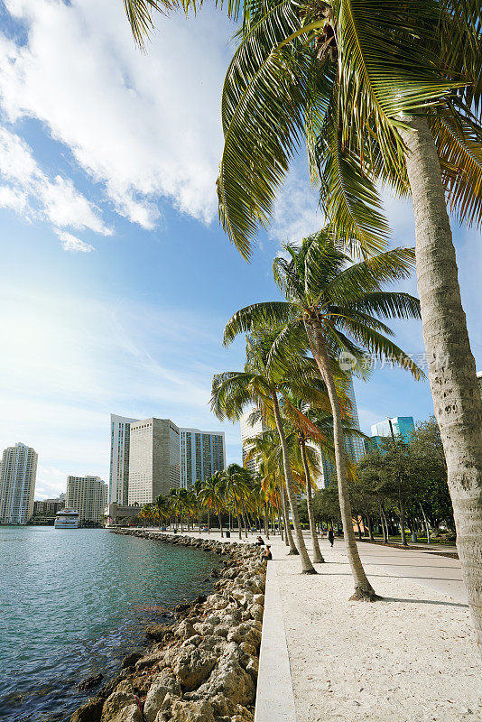 迈阿密市中心比斯坎湾海滨公园的步行道