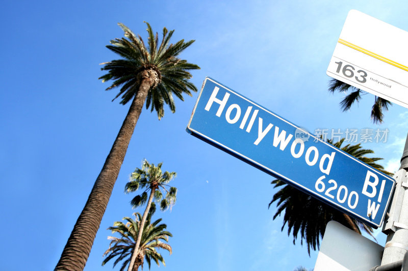 好莱坞路的标志，背景是棕榈树