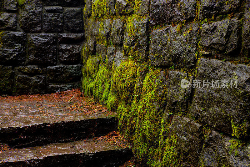 苔藓覆盖的石墙和楼梯在雨中
