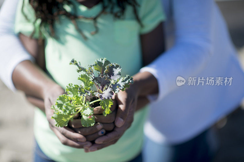 把蔬菜放在一起