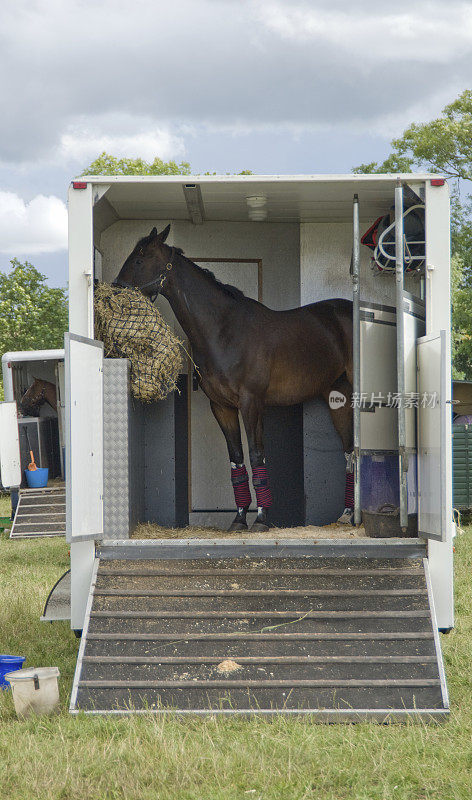 Horsebox与马