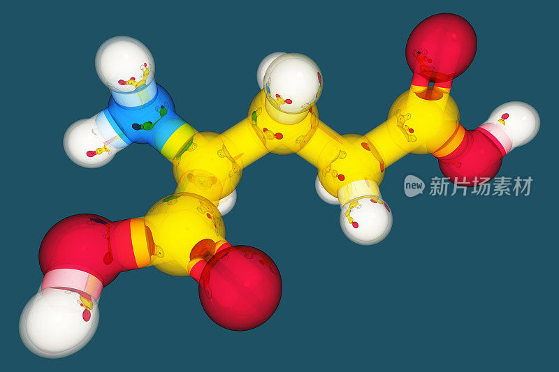 药物模型:氨基酸谷氨酰胺酸