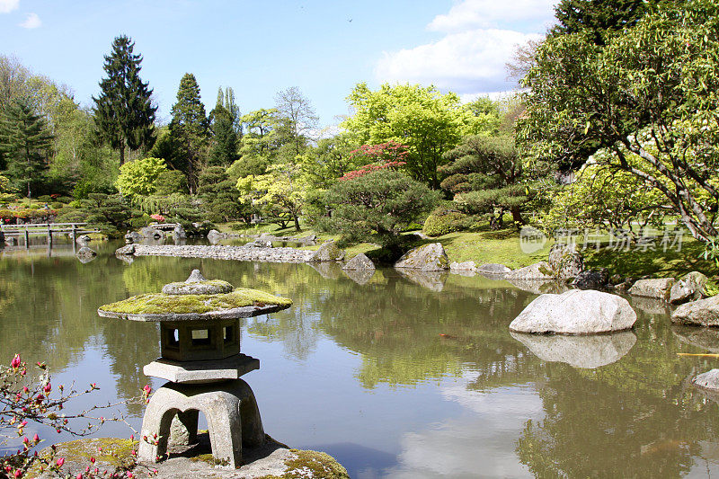 宁静的日本花园在春天