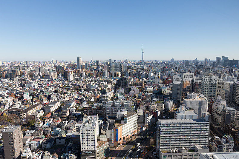 东京天际线和东京天空树在日本