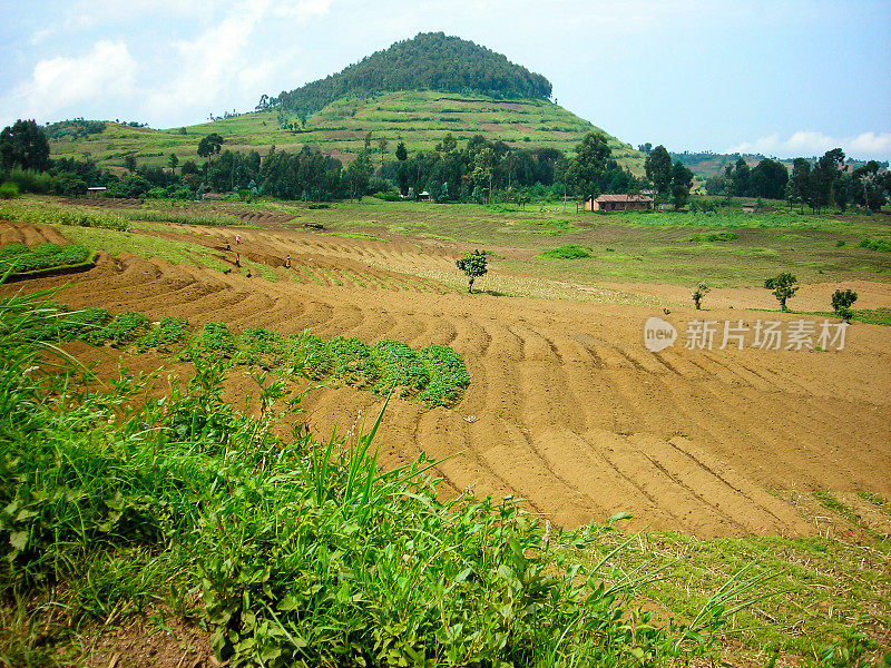 卢旺达西北部丰富的火山农业土壤和作物