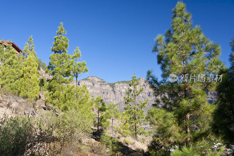 大加那利山风景