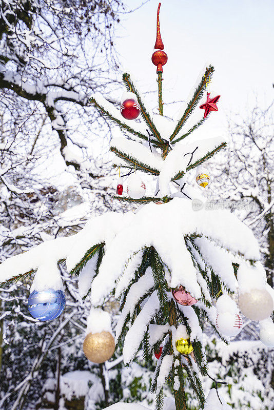 在白雪覆盖的大自然里，圣诞树上的圣诞球