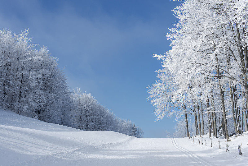 滑雪道和斯洛文尼亚美丽的霜冻森林冬天