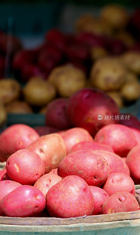 市场土豆