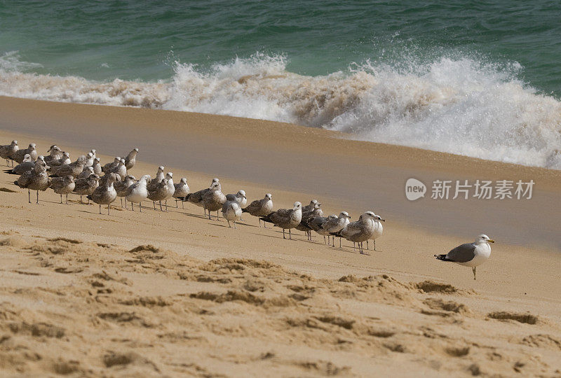 站在人群之外