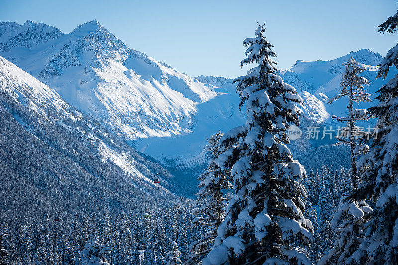 冬天的惠斯勒滑雪场