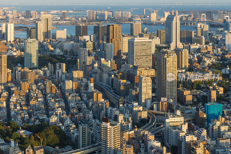 城市市区的天际线