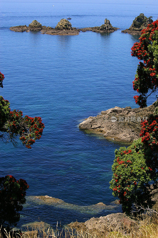 海岸风景与波胡图卡瓦