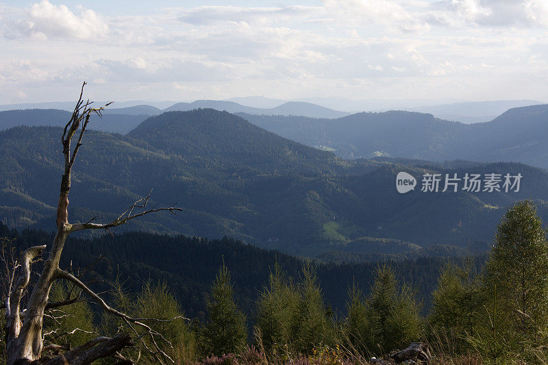 黑森林山