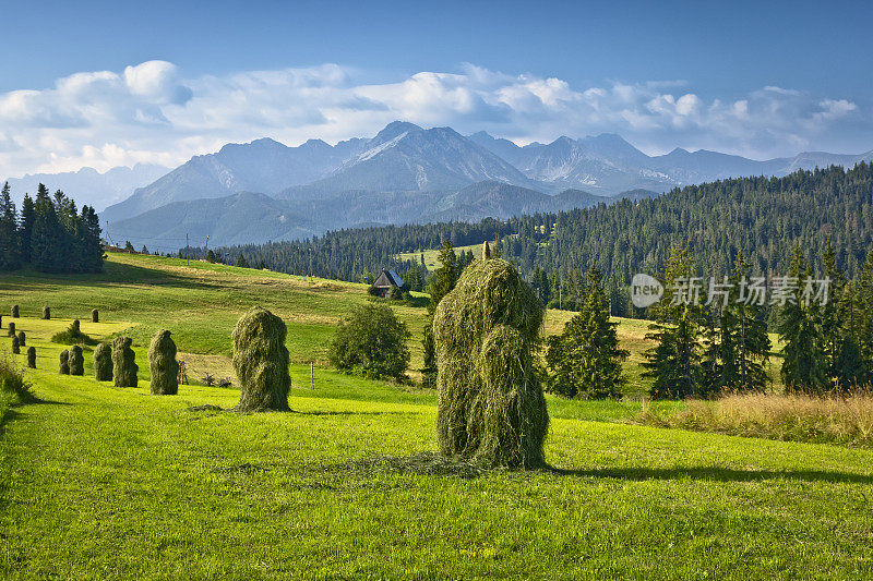 夏天山景观