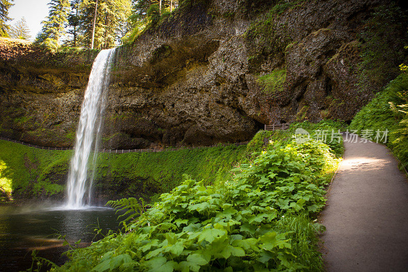 俄勒冈州银瀑布州立公园的小道和瀑布