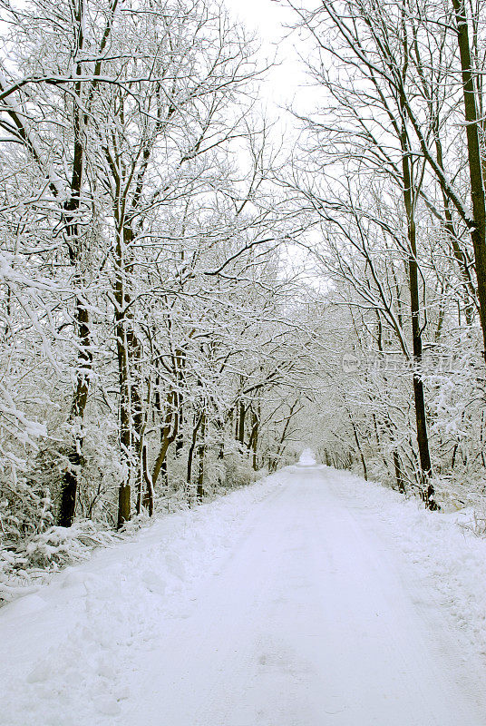 雪巷