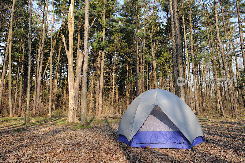 森林露营地的帐篷